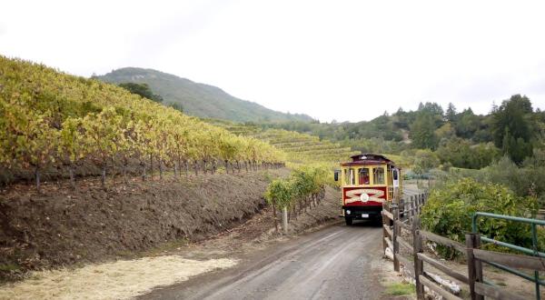 The Northern California Wine Trolley Tour You’ll Absolutely Love
