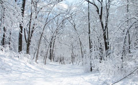 You Must Visit These 12 Awesome Places In Wisconsin This Winter