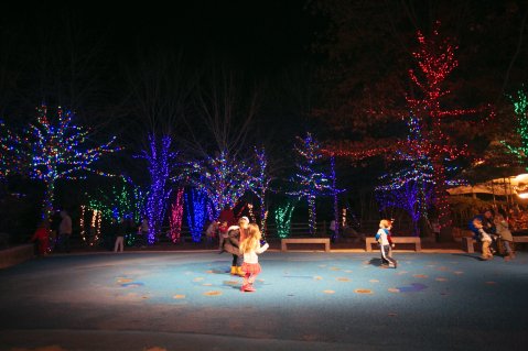 The Christmas Safari In Alabama Everyone Should Visit This Holiday Season