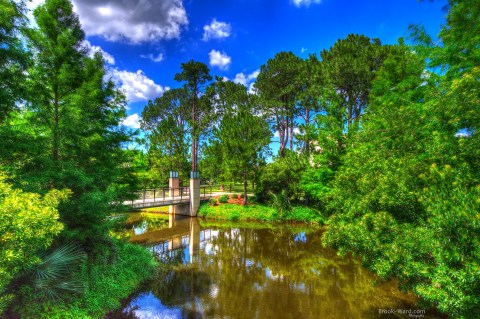 You Could Spend An Entire Day In This Iconic New Orleans Park And Still Not See Everything