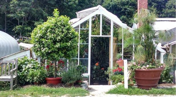 Visiting These 125-Year-Old Connecticut Greenhouses Is Like Entering An Exotic Fairy Tale