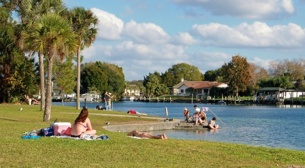 How The Small Town Of Crystal River, Florida Quietly Became The Coolest Place In The South