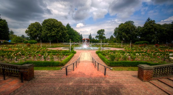 Why You Need To Visit This Unassuming Rose Garden Hiding In Portland