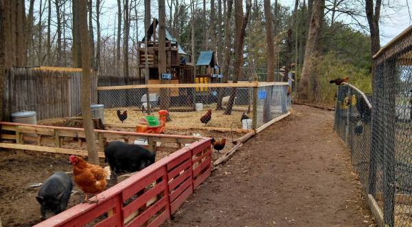 There’s A Wildlife Park In Delaware That’s Perfect For A Family Day Trip