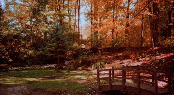 The 6 Secret Parks Of Pittsburgh You’ve Never Heard Of But Need To Visit