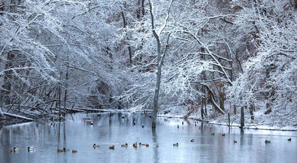 The Enchanting Cincinnati Lake You’ll Want To Visit This Winter