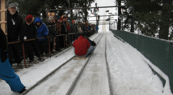 The Toboggan Park In New York That Will Make Your Winter Unforgettable