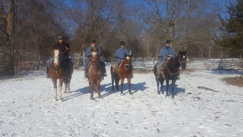The Winter Horseback Riding Trail In Rhode Island That's Pure Magic