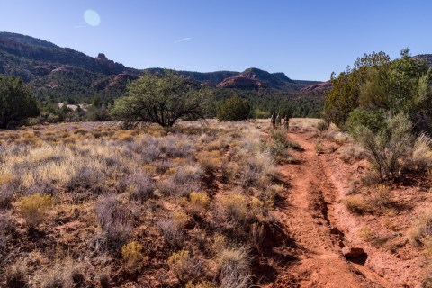 Most People Don't Realize This Scenic Hiking Trail In Arizona Even Exists