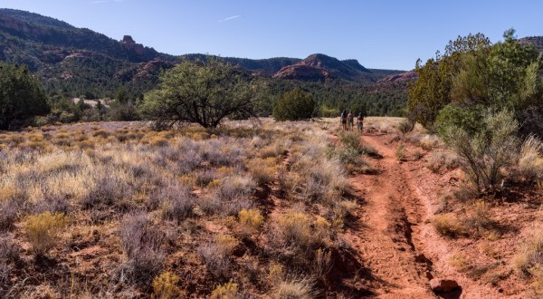 Most People Don’t Realize This Scenic Hiking Trail In Arizona Even Exists