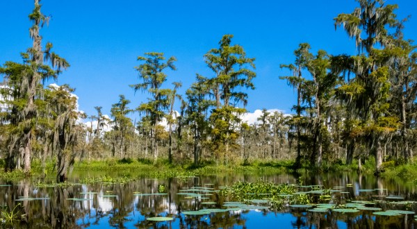 A Trip To This Wildlife Refuge Near New Orleans Is A Picture Perfect Adventure