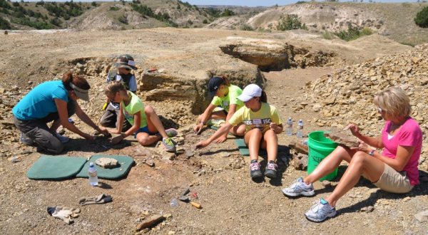 The Epic Place In North Dakota Where You Can Find 50-Million-Year-Old Fossils