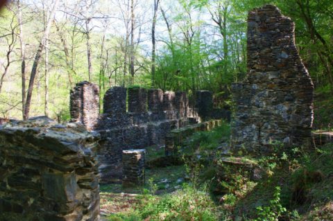 These 11 Georgia Hiking Trails Lead To Some Incredible Pieces Of History