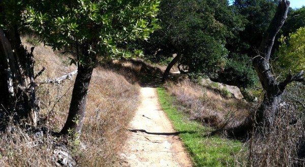The Haunted Trail Near San Francisco That Will Scare You Silly