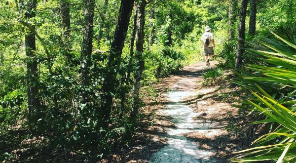You’ll Love This One Awesome Activity In Mississippi And It Won’t Cost You A Cent