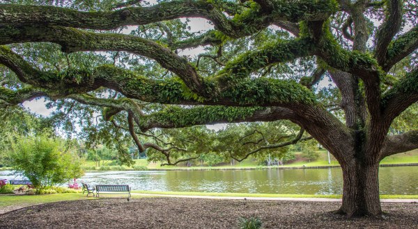 8 Charming Small Towns That Seem Tailor-Made For Louisianians