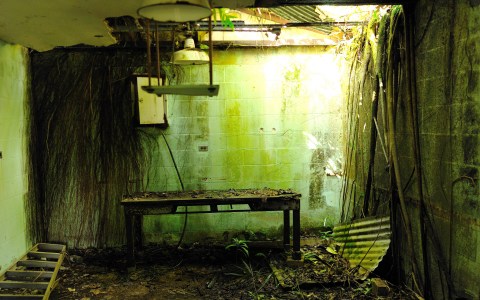 This Creepy Spot Deep In The Woods Of Hawaii Is Like Something Out Of A Horror Movie