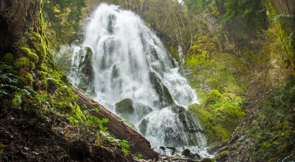 These 3 Oregon Waterfall Hikes Are Short Enough That You Can Do Them All In One Afternoon
