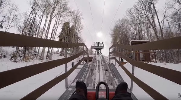 Don’t Miss Utah’s Thrilling Mountain Coaster This Winter