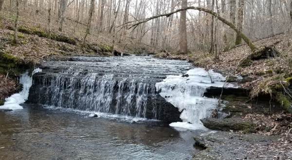 This Quaint Little Trail Is The Shortest And Sweetest Hike In Tennessee