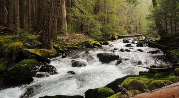 Escape To These 10 Hidden Oases In Washington To Find Peace And Quiet