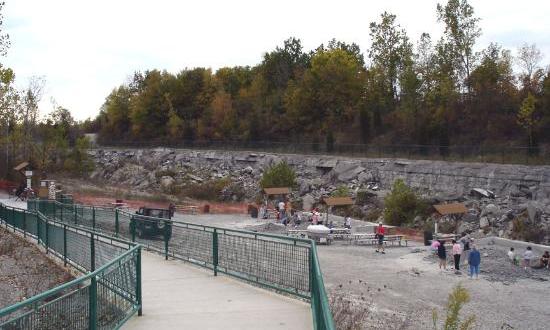The Epic Park In Ohio Where You Can Take Home 300-Million-Year-Old Fossils For Free