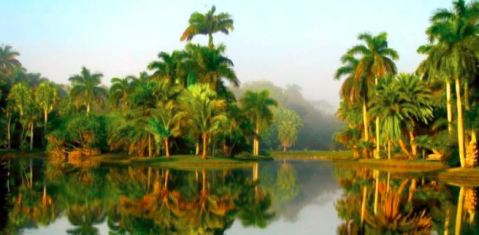 Fairchild Tropical Garden In The U.S. Is A Little Slice Of Heaven