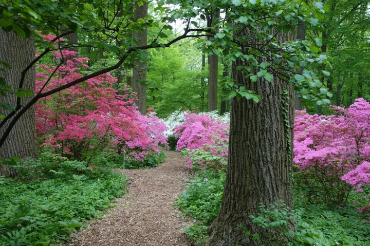 fairy garden near Philadelphia