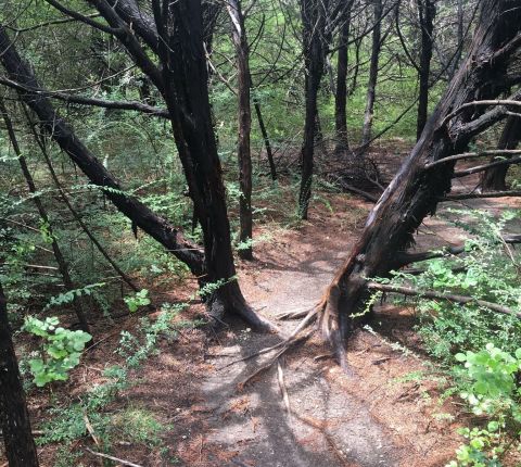 This Hike-and-Bike In Dallas Will Give You An Unforgettable Experience