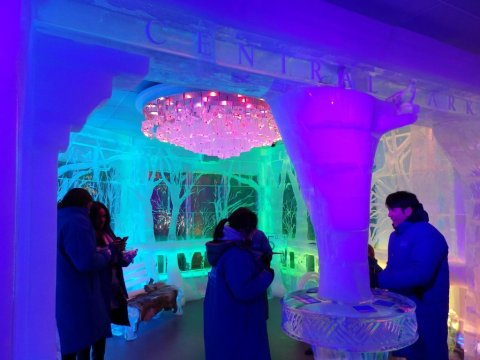 Most People Don't Know These 7 Amazing Ice Bars In New York Exist