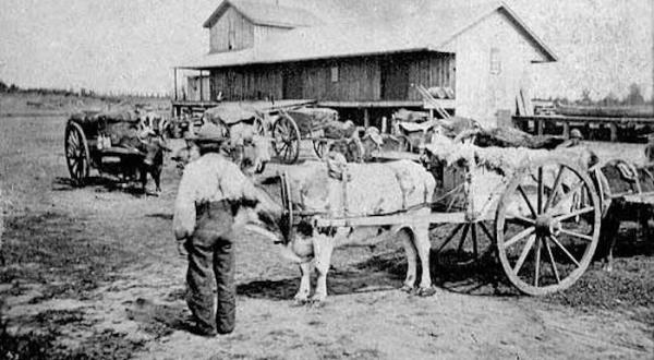 These 10 Rare Photos Show North Dakota’s Ranching History Like Never Before