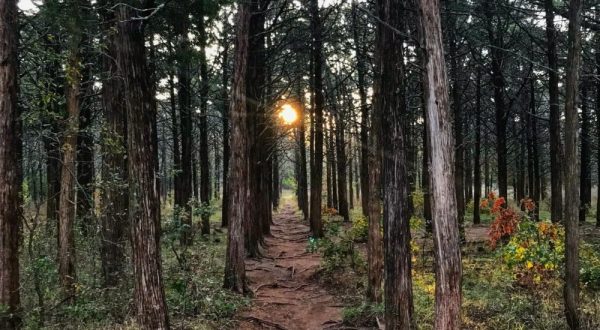 This Creepy Spot Deep In The Woods Of Oklahoma Is Like Something Out Of A Horror Movie