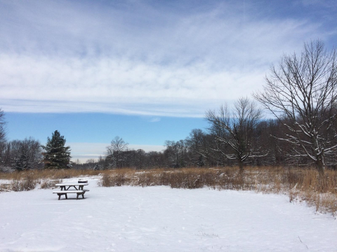 The Easy 1-Mile Winter Hike In Indianapolis That's Positively Bewitching