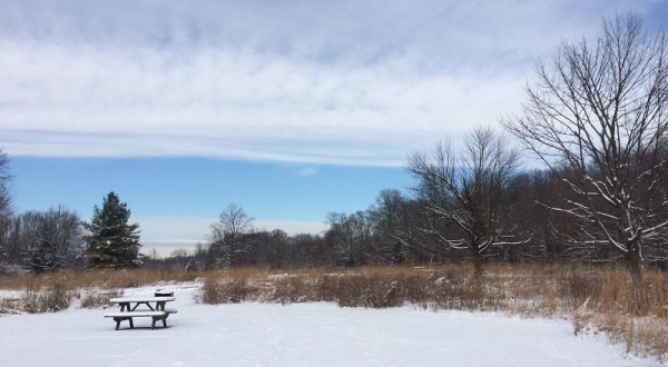 The Easy 1-Mile Winter Hike In Indianapolis That’s Positively Bewitching