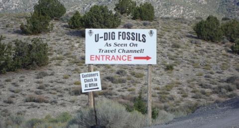 The Epic Park In Utah Where You Can Take Home 500-Million-Year-Old Fossils