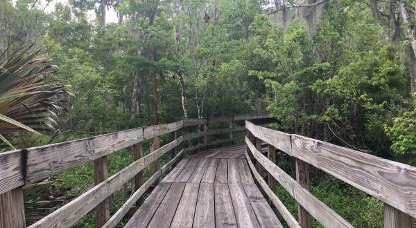 This Quaint Little Trail Is The Shortest And Sweetest Hike In Louisiana