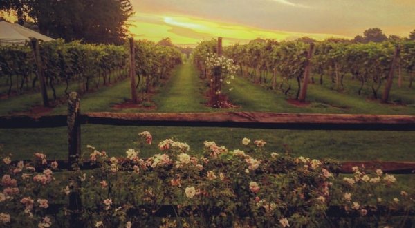 This One-Of-A-Kind Pennsylvania Winery Is Located In The Most Unforgettable Setting