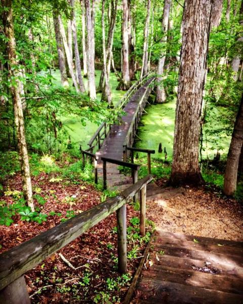 This Quaint Little Trail Is The Shortest And Sweetest Hike In Mississippi