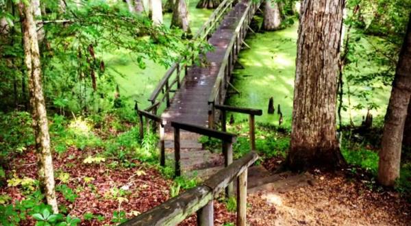 This Quaint Little Trail Is The Shortest And Sweetest Hike In Mississippi