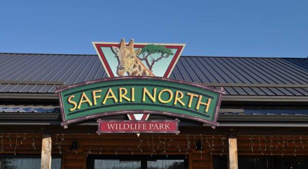 There’s A Wildlife Park In Minnesota That’s Perfect For A Family Day Trip