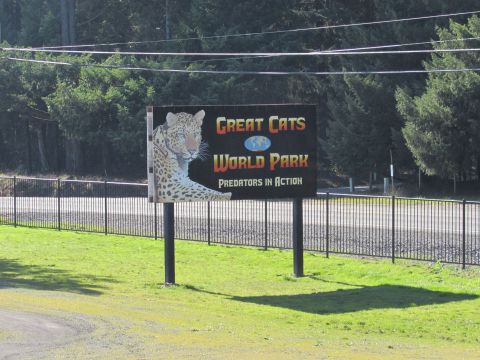 The One-Of-A-Kind Park In Oregon Where You Can See Wild Cats Up Close