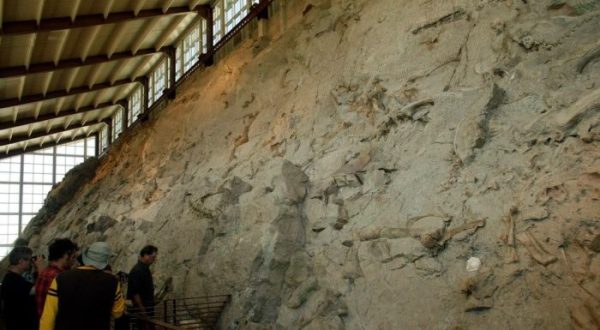 The Epic Park In Colorado Where You Can Take Home 100-Million-Old Fossils