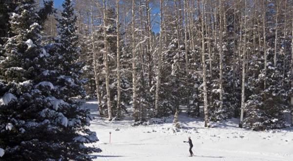 There’s A Truly Enchanted Forest In New Mexico And It’s Perfect For A Winter Hike