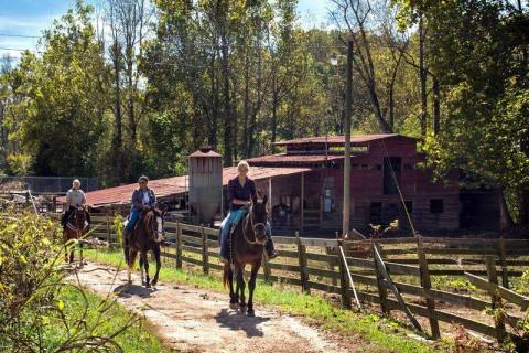 This Horseback Tour Through The Georgia Countryside Will Enchant You In The Best Way