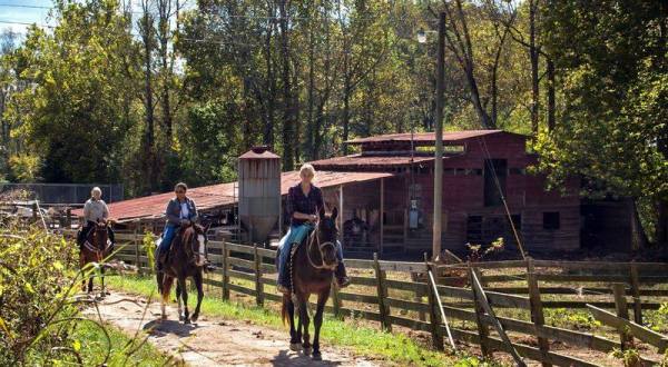 This Horseback Tour Through The Georgia Countryside Will Enchant You In The Best Way