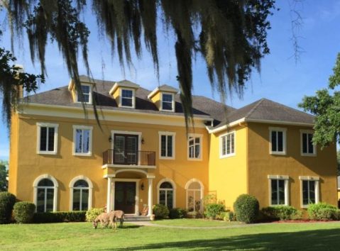 The Amazing Bed And Breakfast In Florida Where You Can Hang Out With Alpacas