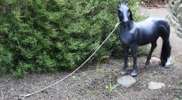 Tiny Horses Are Quietly Taking Over Portland’s Streets And It’s Downright Magical