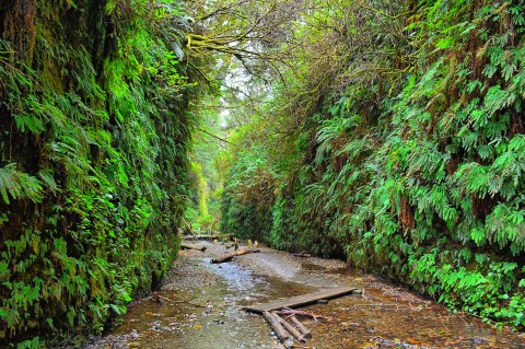 This Quaint Little Trail Is The Shortest And Sweetest Hike In Northern California