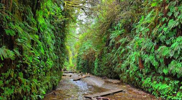 This Quaint Little Trail Is The Shortest And Sweetest Hike In Northern California