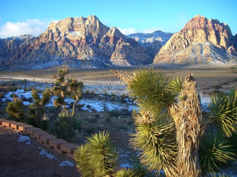 9 Reasons No One In Their Right Mind Visits Nevada In The Winter